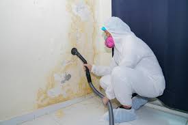 Mold Remediation for Rental Properties in Sandstone, MN